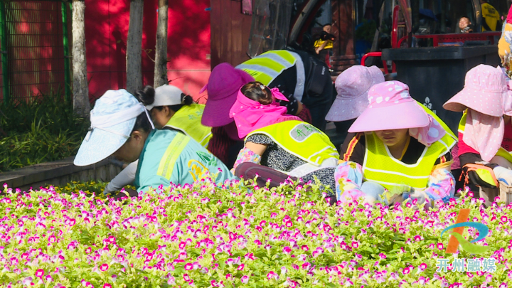 kaiyun官方网站：开州喜迎国庆  用60多万盆鲜花点“靓”城市！(图5)